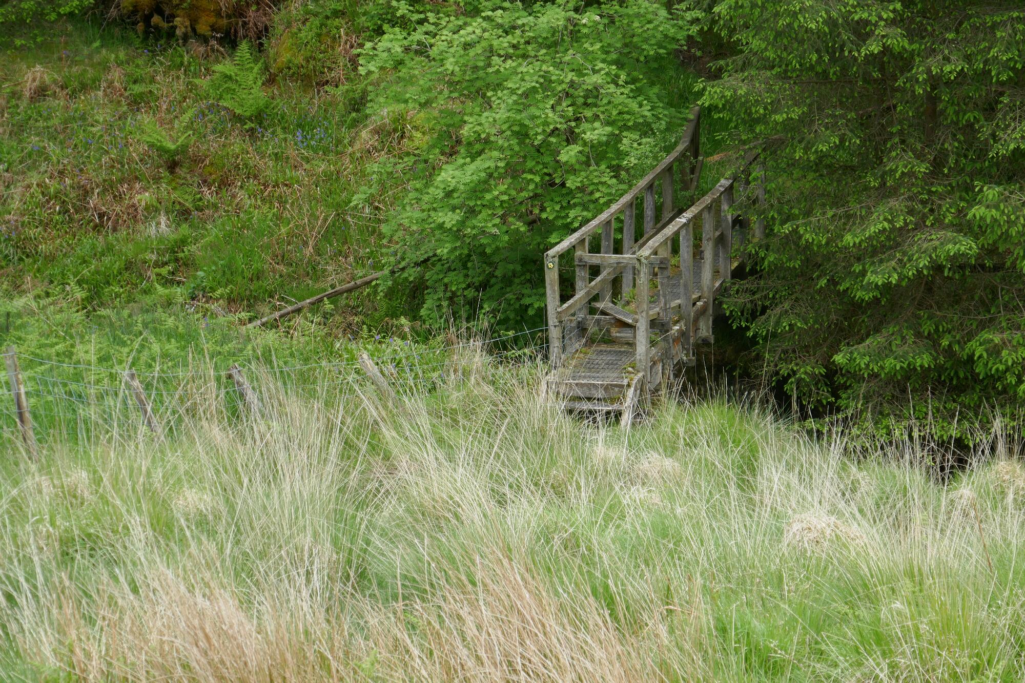 RachelSeabrook.net | Wild Walking | Devils-Bridge; pic44